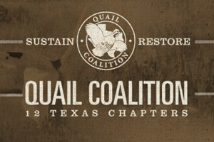qc-logo-bg quail coalition logo 12 texas chapters