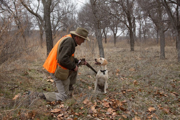 Joe and Lucy dog man kneeling down facing hunting dog in the middle of forest for crafton outdoors texas